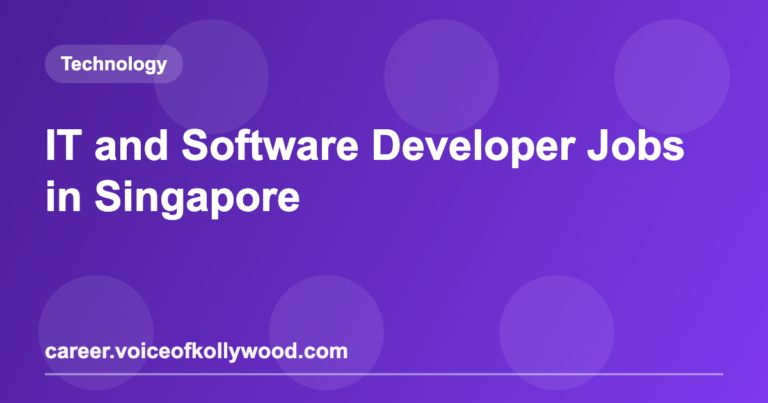 IT and Software Developer Jobs in Singapore